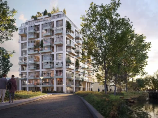 The Urban Woods